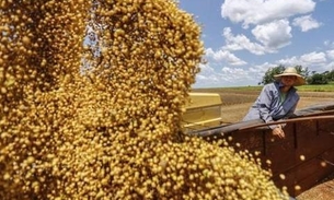 Óleo de soja e ouro lideram exportações do Amazonas em junho