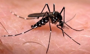 Mais de 200 mil militares atuarão no combate ao Aedes aegypti neste sábado