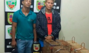 Casal é preso com drogas e passarinhos silvestres