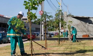 Arboriza Manaus homenageará Martha Falcão