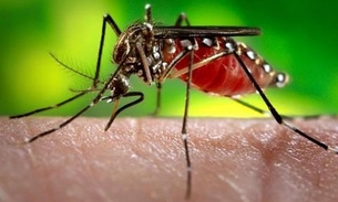 Semsa confirma 4.418 casos de zika vírus em Manaus e  23 sob investigação