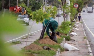 Praças dos conjuntos habitacionais recebem plantios do Arboriza Manaus