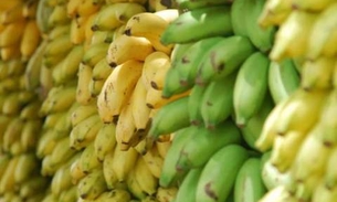 Tipo de banana não comestível pode ser usada como remédio 