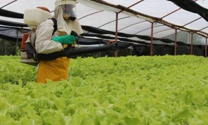 Governo oferece curso sobre uso de agrotóxicos para agricultores no AM