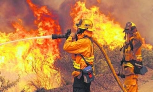 Ibama abre vagas para brigadistas florestais no Amazonas 