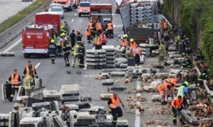 Sete mil galinhas bloqueiam estrada austríaca após caminhão perder carga 