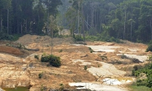 Mais de meio milhão assinam petição em defesa da Amazônia