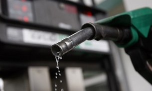 Preço da gasolina sobe e bate novo recorde no ano, diz ANP 