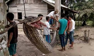 Homem trava luta com píton gigante após ser atacado e 'choca' a todos