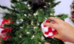 Menina morre eletrocutada enquanto enfeitava árvore de Natal