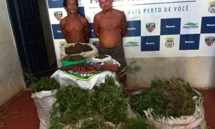 Dois homens são presos com plantação de maconha no Amazonas