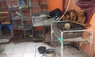 Mais de 100 cães, gatos e aves vítimas de maus-tratos são resgatados