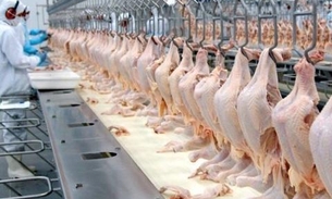 Com embargo à exportação, frango ficará mais barato no país