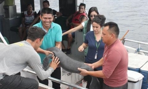 Filhote de peixe-boi ferido é resgatado por pescadores em comunidade no Amazonas