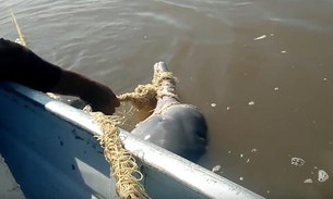 Vídeo mostra resgate de boto preso em rede de pesca no Amazonas