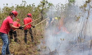 Amazonas tem redução de 6% no número de focos de calor, no primeiro semestre