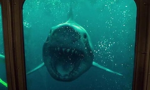 Tubarões atacam no novo trailer de Medo Profundo 2; vem ver