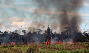 Israel enviará avião para ajudar no combate aos incêndios na Amazônia