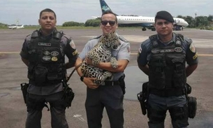 Polícia resgata filhote de onça-pintada no Amazonas