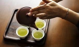 Chá verde na melhora do prejuízo de memória, resistência insulínica no cérebro e obesidade