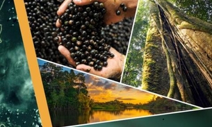 fesPIM tem lançamento de livro sobre floresta nesta quinta-feira em Manaus