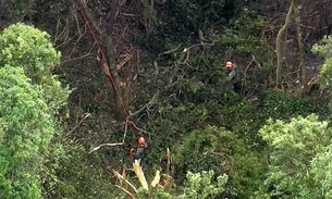 Corpo é achado perto de avião que caiu na Serra da Cantareira, em São Paulo 