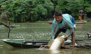 Programa de incentivo seleciona seis projetos inovadores no Amazonas