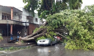 Árvore cai em cima de carro e deixa trânsito lento no Centro de Manaus 