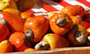 Caju tem mais Vitamina C do que laranja e protege coração; saiba mais