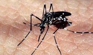 Presidente do Paraguai está com dengue; país enfrenta epidemia