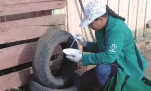 Amazonas tem cinco municípios com surto de dengue 