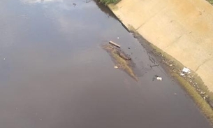 Jacaré é flagrado 'passeando' às margens de igarapé em avenida movimentada de Manaus