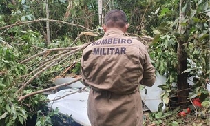 Avião cai no Amazonas e duas pessoas morrem, diz Bombeiros 