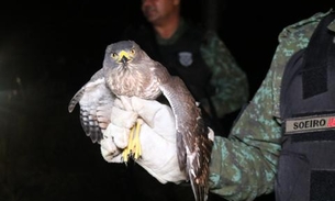 Batalhão Ambiental resgatou 140 animais nos primeiros meses de 2020