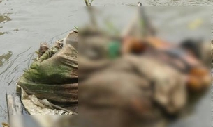 Corpo boiando em igarapé de Manaus é de mulher sequestrada