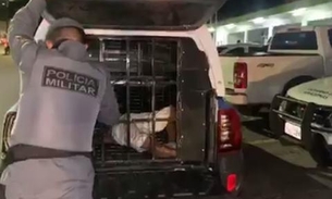 Após tentativa de assalto, homem é linchado no centro de Manaus 