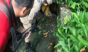 Idoso cai em bueiro de 7 metros e é resgatado por bombeiros em Manaus