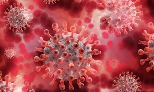 Coronavírus: Brasil registra 1.005 mortes em 24h e total chega a 35.026