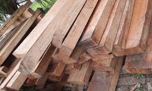 Suspeito de vender madeira ilegal é preso no Amazonas 