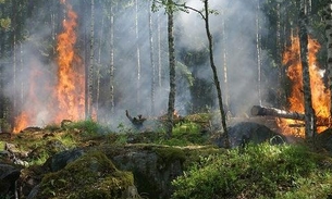 Desmatamento e fogo podem agravar pandemia na Amazônia