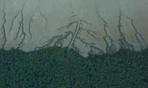 Vista aérea do Parque Nacional do Cabo Orange, na costa do Amapá, que fica dentro da Bacia da Foz do Amazonas. - Foto: Victor Moriyama/Greenpeace