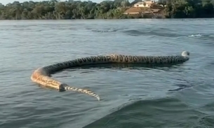 Vídeo: Comerciante filma cobra gigante morta boiando no rio