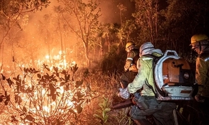 Foto: Divulgação/Ibama