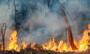 Justiça Federal condena réus por mudanças climáticas na Amazônia e manda indenizar