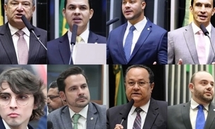 Deputados Átila Lins, Saullo Vianna, Adail Filho, Sidney Leite, Amom Mandel, Alberto Neto, Silas Câmara e Fausto Jr. - Fotos: Divulgação/Câmara dos Deputados