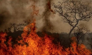 Foto: Marcelo Camargo/Agência Brasil