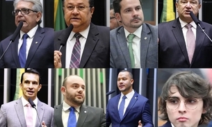 Deputados federais do Amazonas - Foto: Divulgação/Câmara dos Deputados