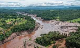 Foto: Vinícius Mendonça/Ibama