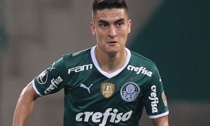 Foto: Cesar Greco/ Palmeiras