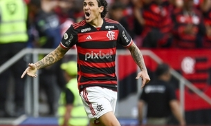 Foto: Reprodução/ X @Flamengo